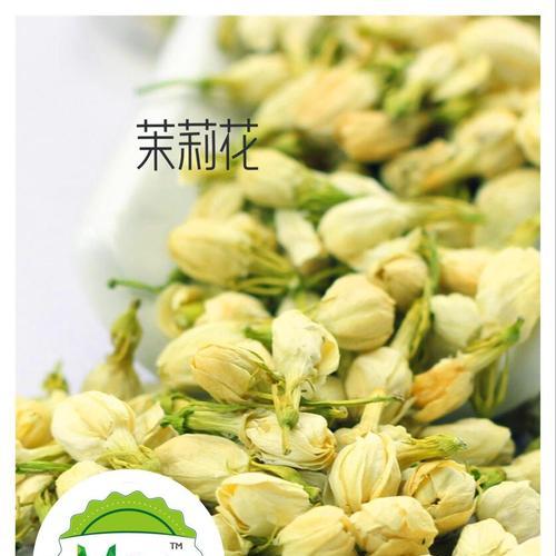 茉莉花的象征意义（茉莉花的美丽与纯洁）