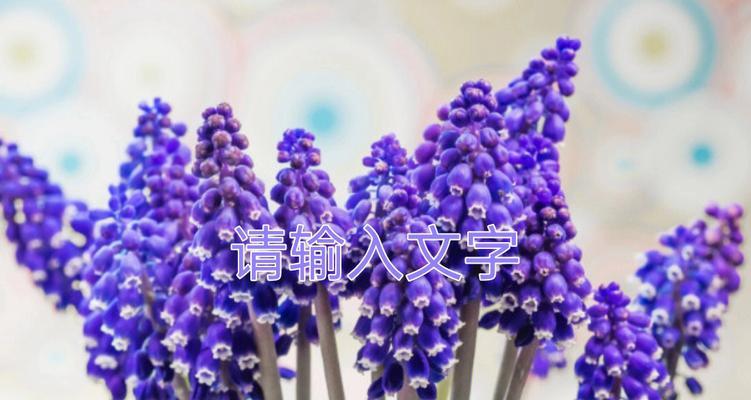 风信子的花语之美——春天的希望和爱意（透过花色领略花语）