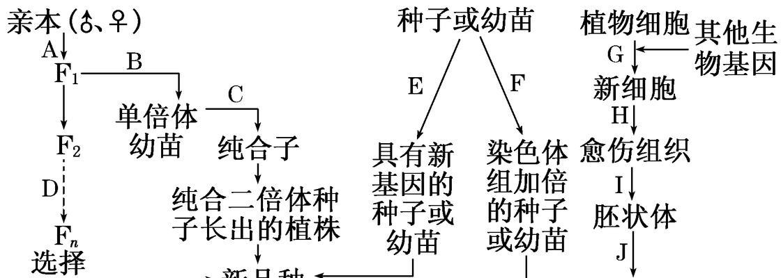 樱桃的繁殖方法与注意事项（了解如何让樱桃生根发芽）