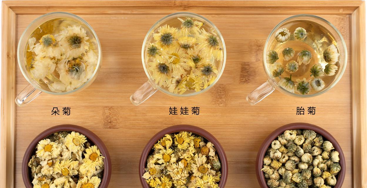 菊花茶的采摘与收获季节（探秘菊花茶的收获时机及注意事项）