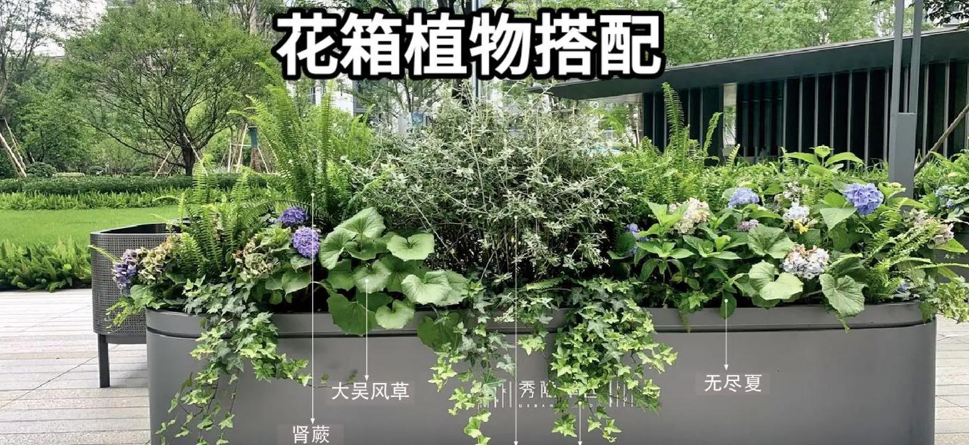 花箱的植物种植选择（如何选择适合花箱的植物）