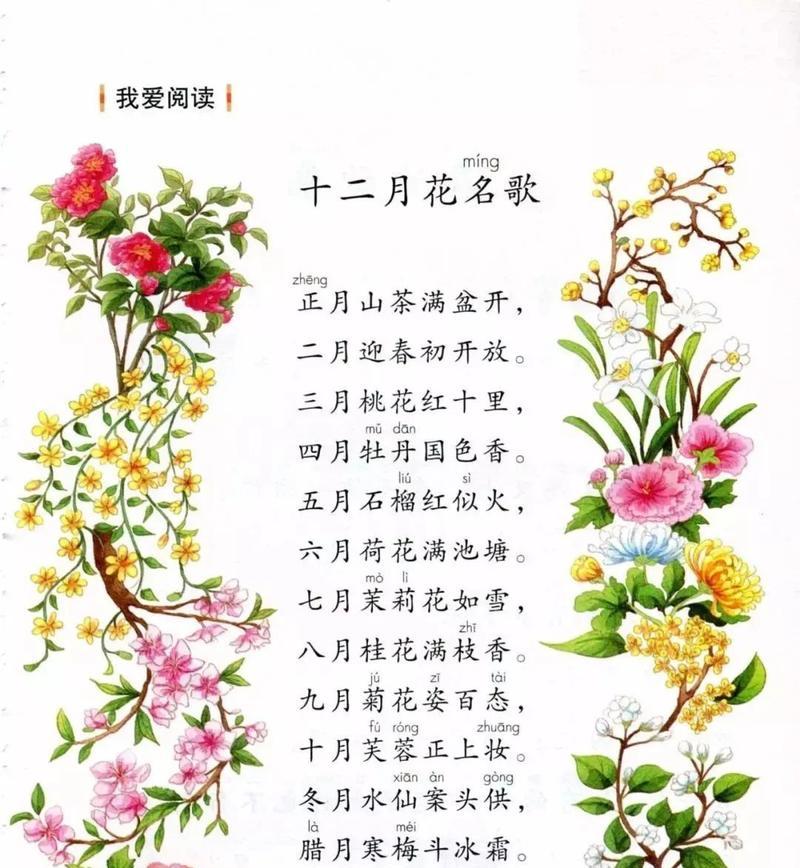 白蔷薇花的浪漫与纯洁（解读白蔷薇的花语与代表意义）