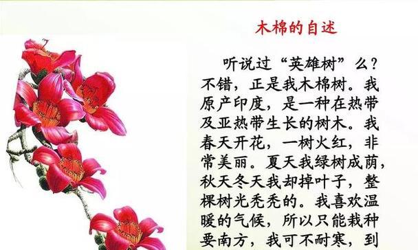 白玉兰的花语与美好寓意（探寻白玉兰的象征意义及内涵）