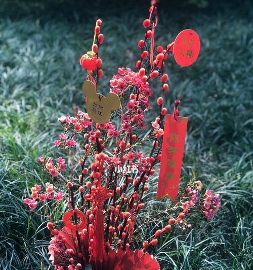 银柳花寓意与象征意义（探秘银柳花的文化底蕴与象征意义）