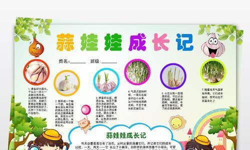 大蒜种植的最佳时间和方法（春季、秋季两种播种方法详解）